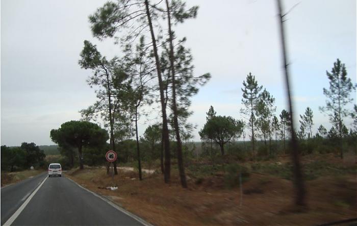 Clique para ampliar

Nome:  2011-11-lagoa-1.jpg
Vistos: 8331
rea:  64,2 KB