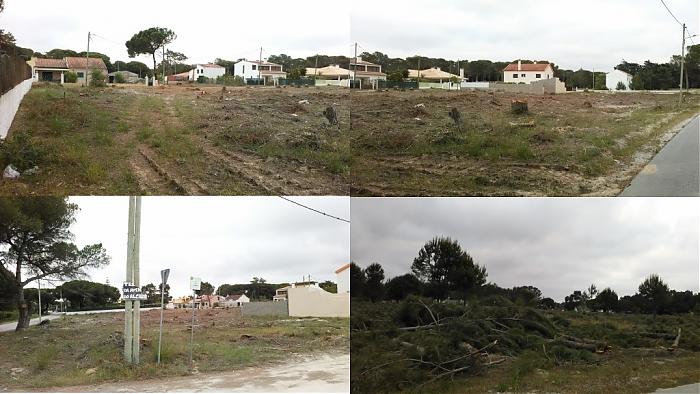 Clique para ampliar
Nome:  2018-05-21 - travessa.jpg
Vistos: 12673
Área:  158,5 KB